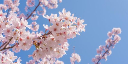 April 28: Facts & Historical Events On This Day