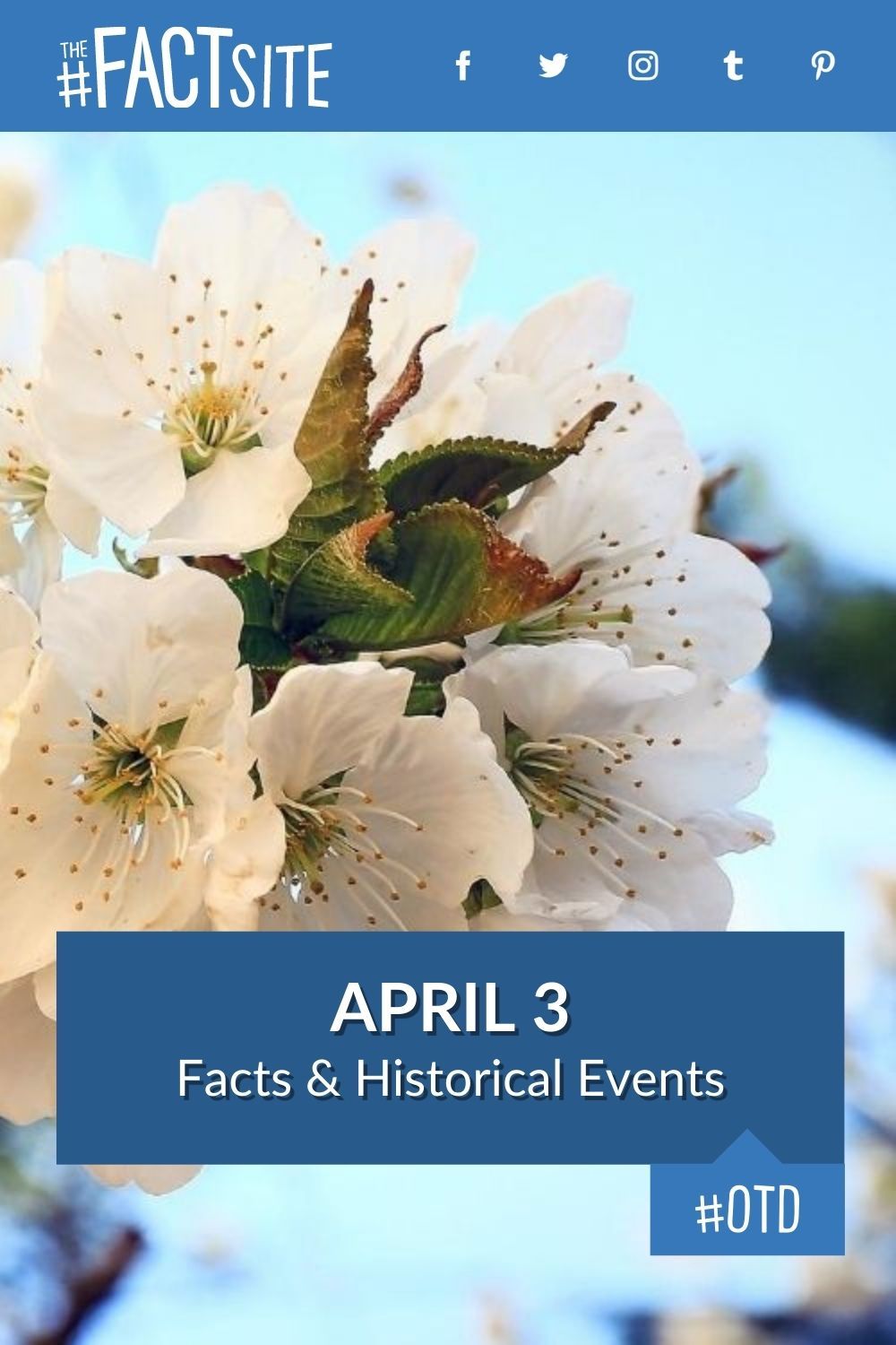 April 3: Facts & Historical Events On This Day