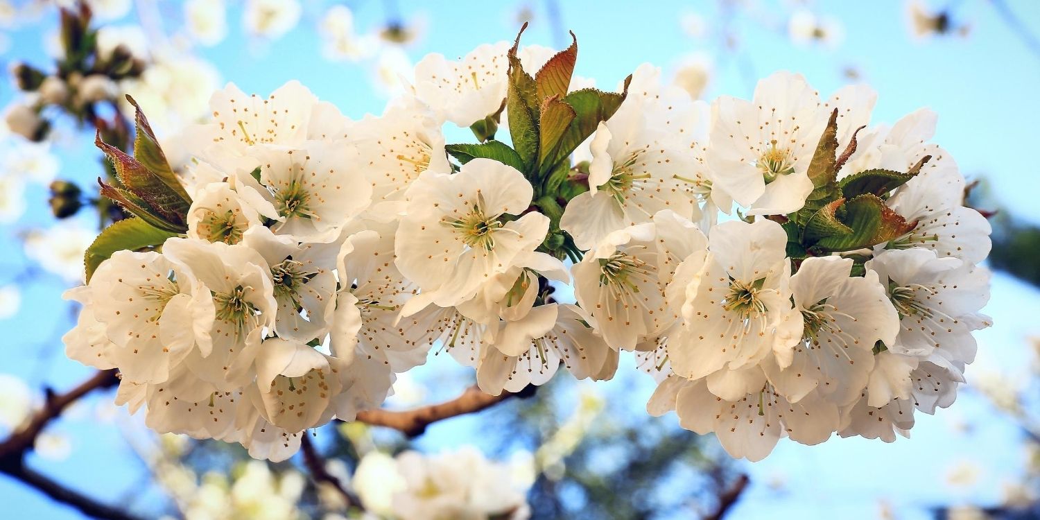 April 3: Facts & Historical Events On This Day - The Fact Site