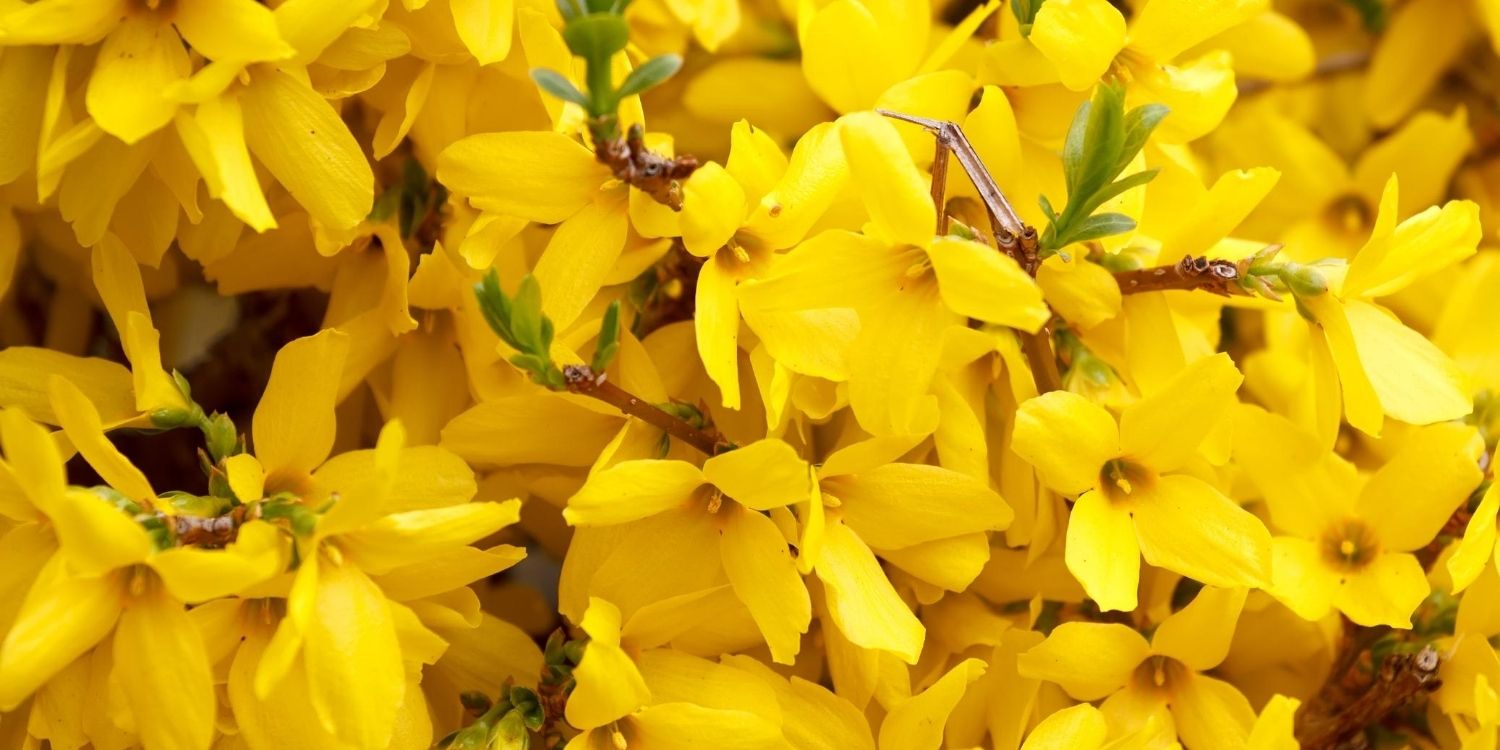 April 6: Facts & Historical Events On This Day - The Fact Site