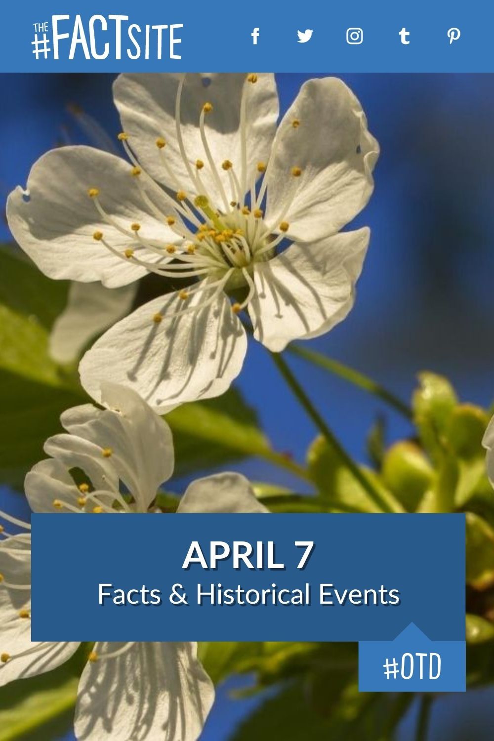 April 7: Facts & Historical Events On This Day