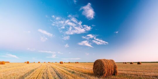 August 13: Facts & Historical Events On This Day