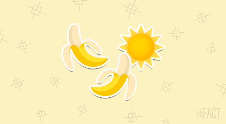 Bananas are curved because they grow towards the sun.