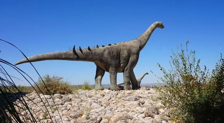 The Brontosaurus was a Sauropod