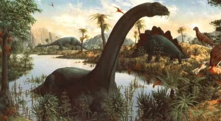 Brontosaurus' were heavy