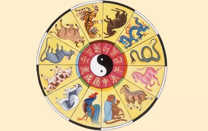 The Chinese animal zodiac wheel showing twelve different animals