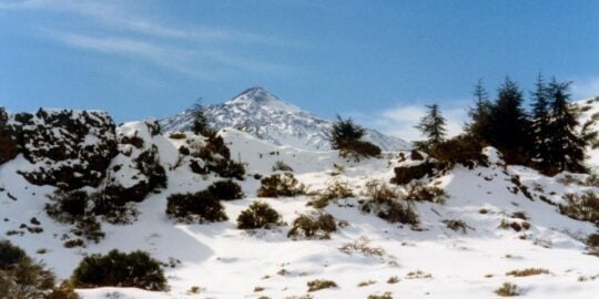 December 13: Facts & Historical Events On This Day