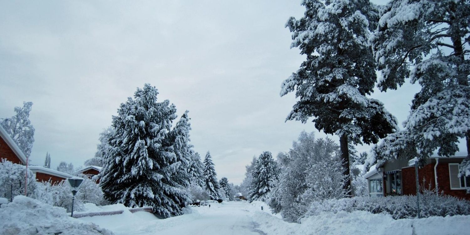 December 15 Facts & Historical Events On This Day The Fact Site