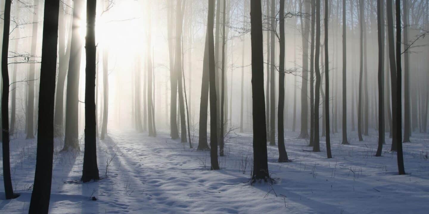 December 16: Facts & Historical Events On This Day - The Fact Site