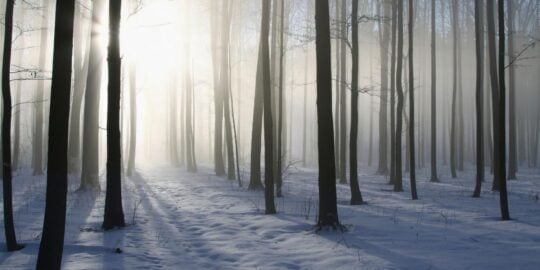 December 16: Facts & Historical Events On This Day