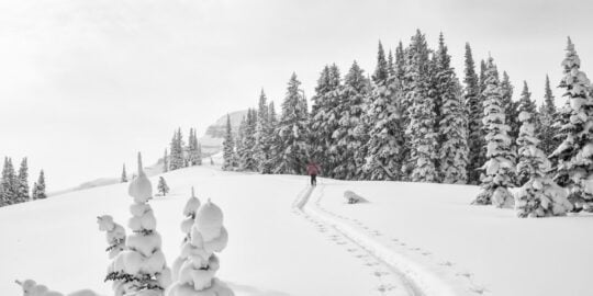 December 29: Facts & Historical Events On This Day