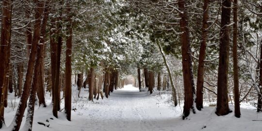 February 10: Facts & Historical Events On This Day