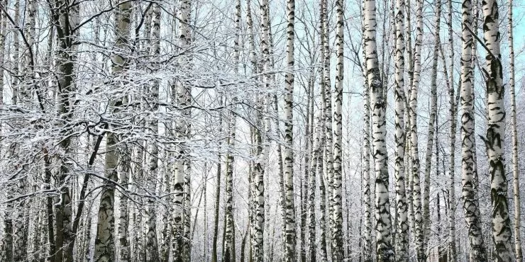 какие события произошли 16 февраля