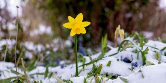 February 28: Facts & Historical Events On This Day