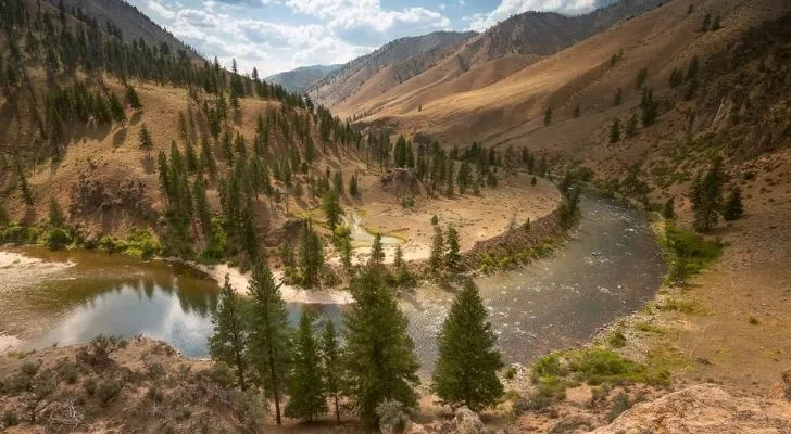 Beautiful river with sandy surrounding mountains and alpine trees