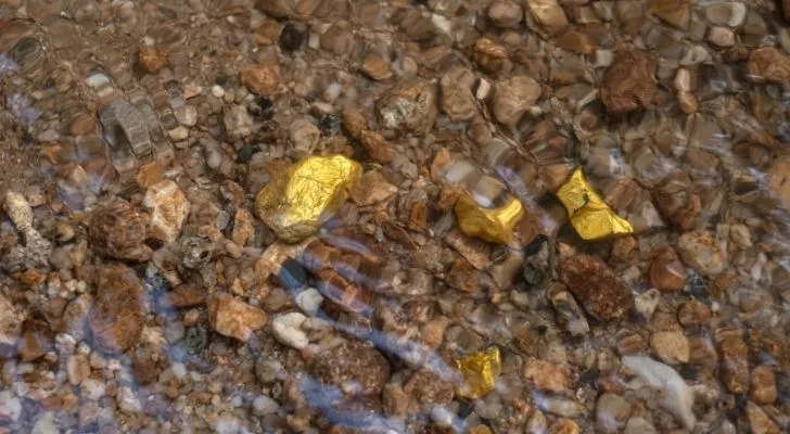 Bits of raw gold stones in a stream