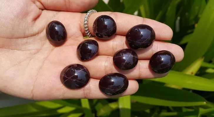 Eight beautifully polished star garnet gems