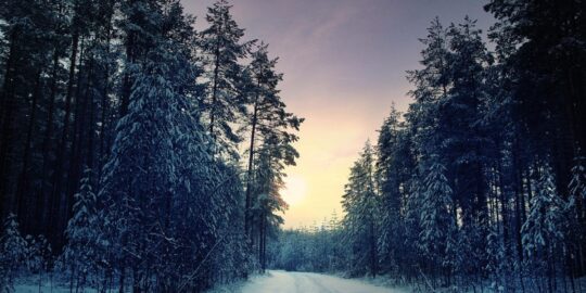 January 10: Facts & Historical Events On This Day