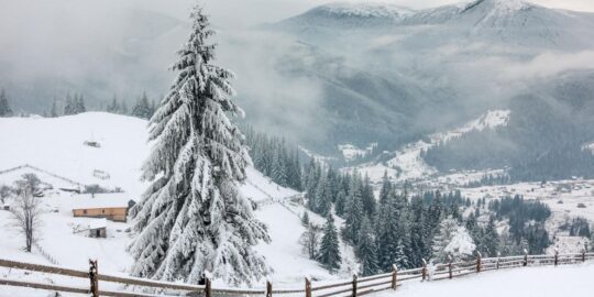 January 18: Facts & Historical Events On This Day
