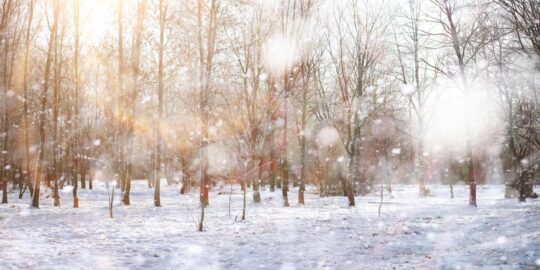 January 29: Facts & Historical Events On This Day