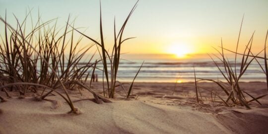 July 21: Facts & Historical Events On This Day