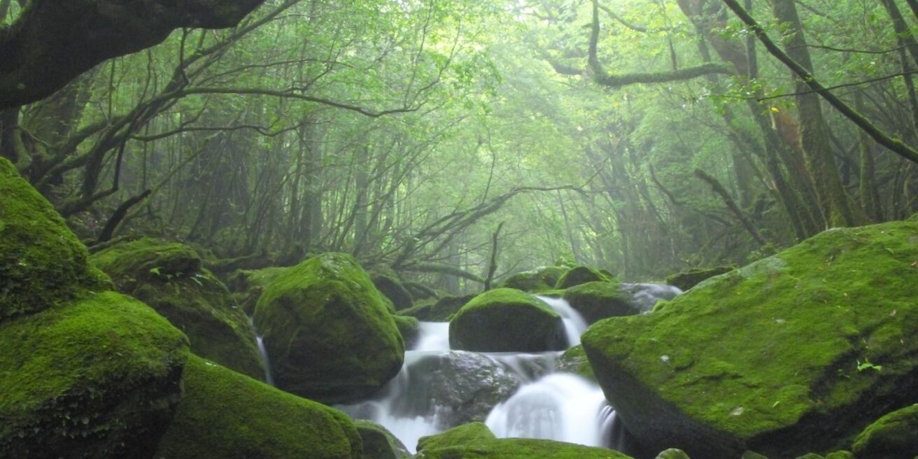 June 22: Facts & Historical Events On This Day - The Fact Site