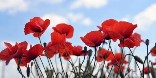 June 7: Facts & Historical Events On This Day