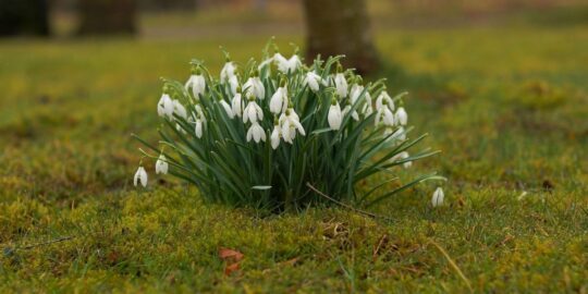 March 13: Facts & Historical Events On This Day