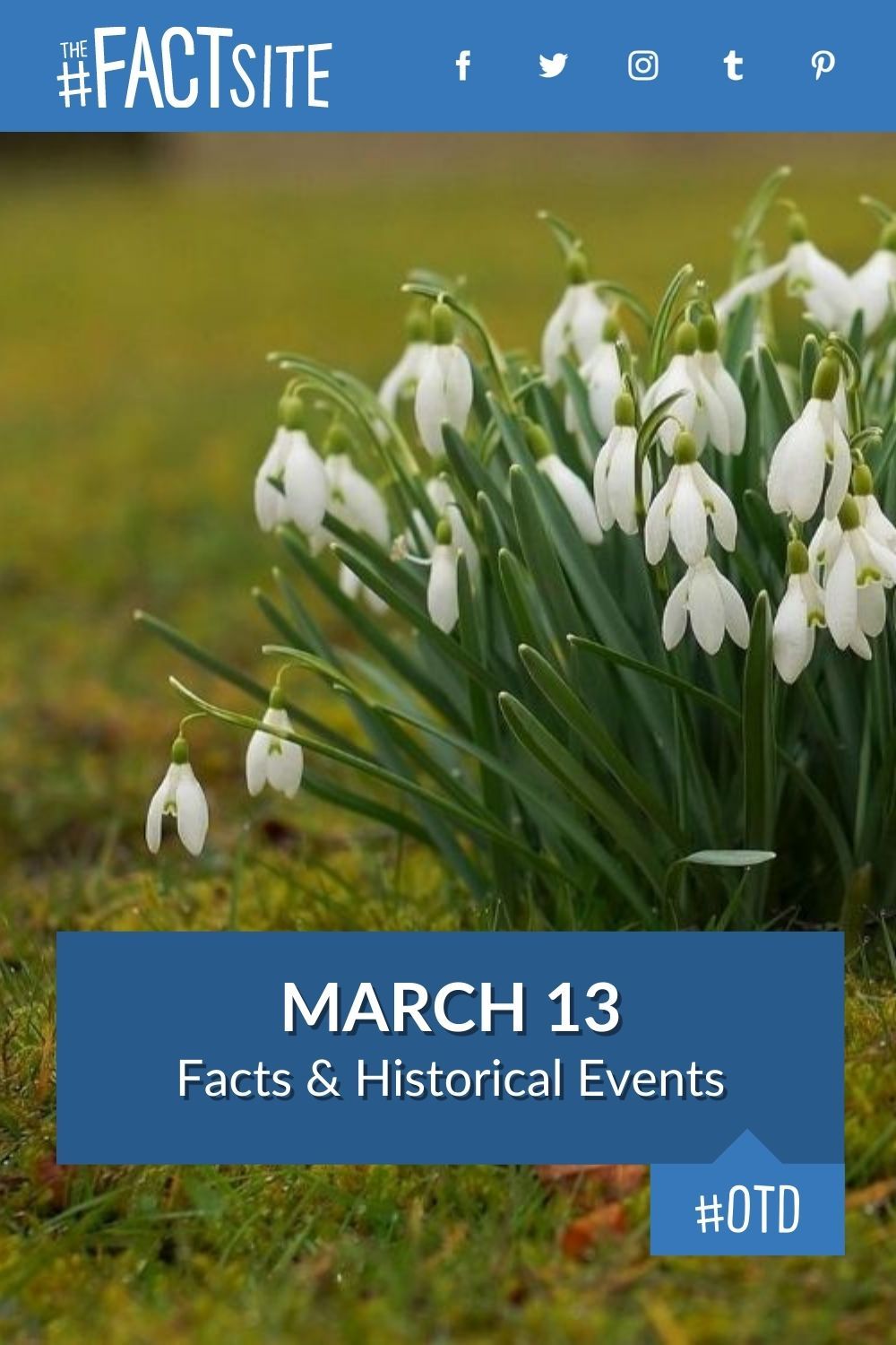 March 13 Facts & Historical Events On This Day The Fact Site