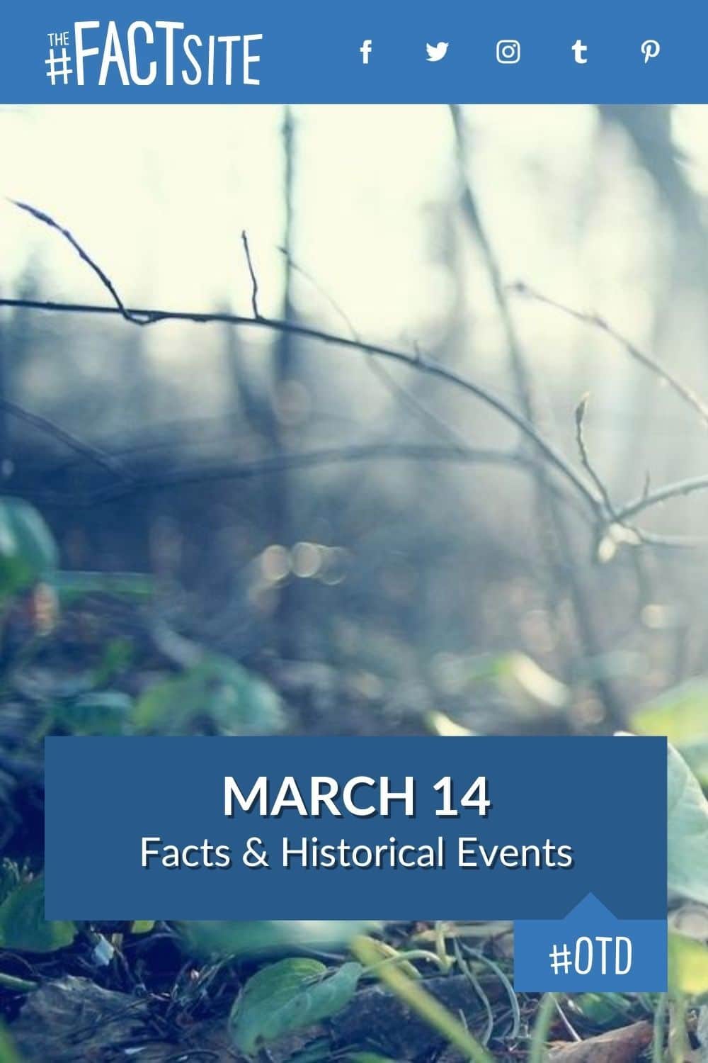 March 14 facts historical events on this day the fact site