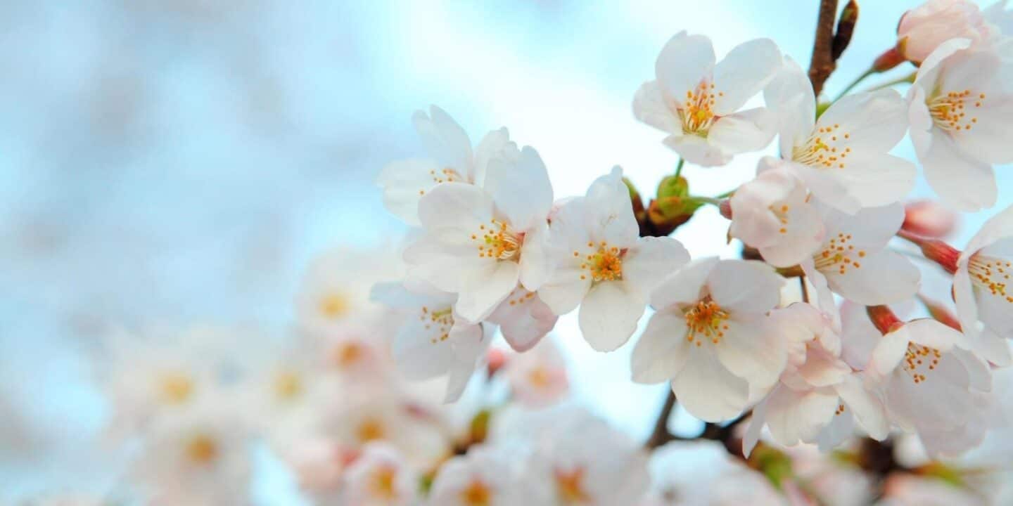 March 15: Facts & Historical Events On This Day - The Fact Site