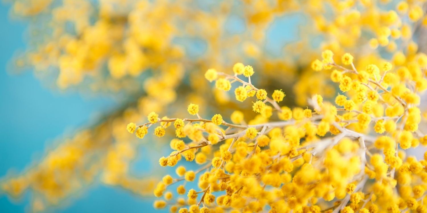 March 16: Facts Historical Events On This Day The Fact Site