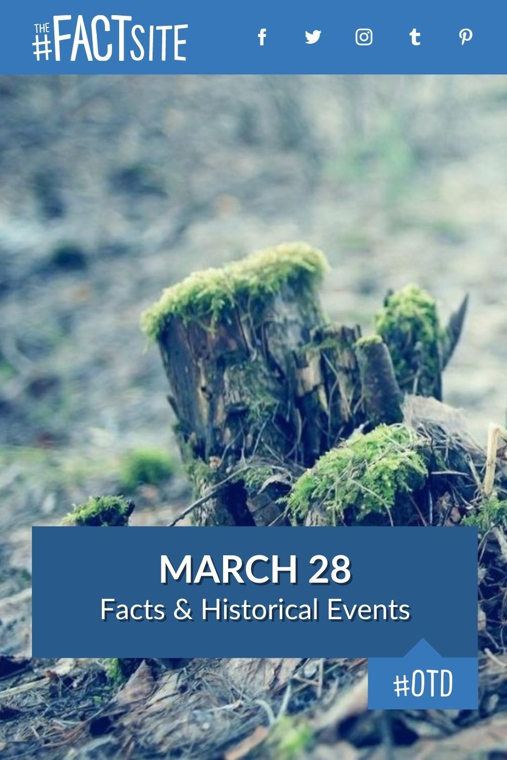 March 28 Facts & Historical Events On This Day The Fact Site