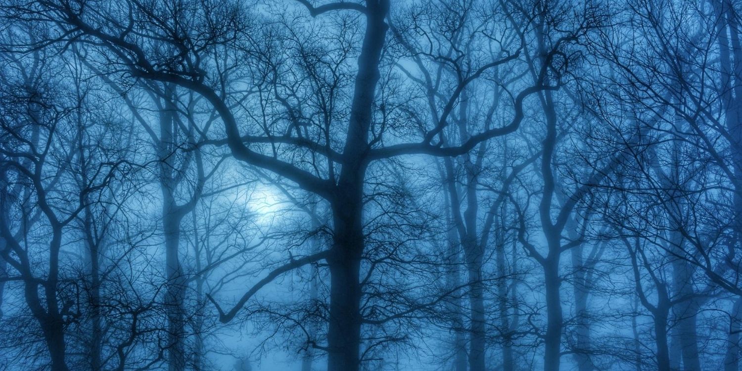 March 3: Facts & Historical Events On This Day - The Fact Site