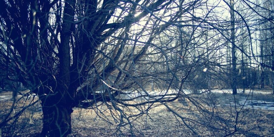 March 5: Facts & Historical Events On This Day - The Fact Site