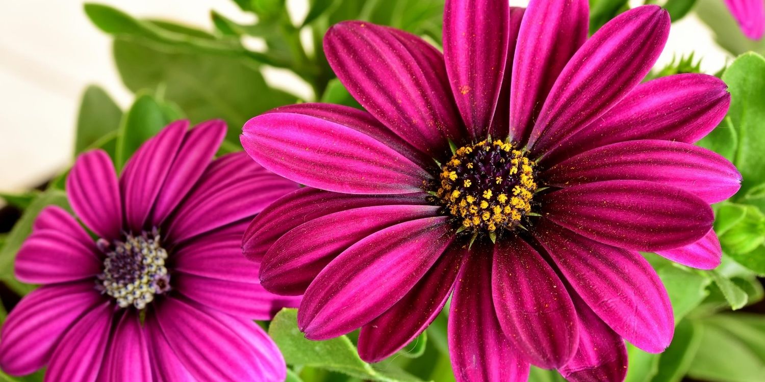 May 11 Facts & Historical Events On This Day The Fact Site