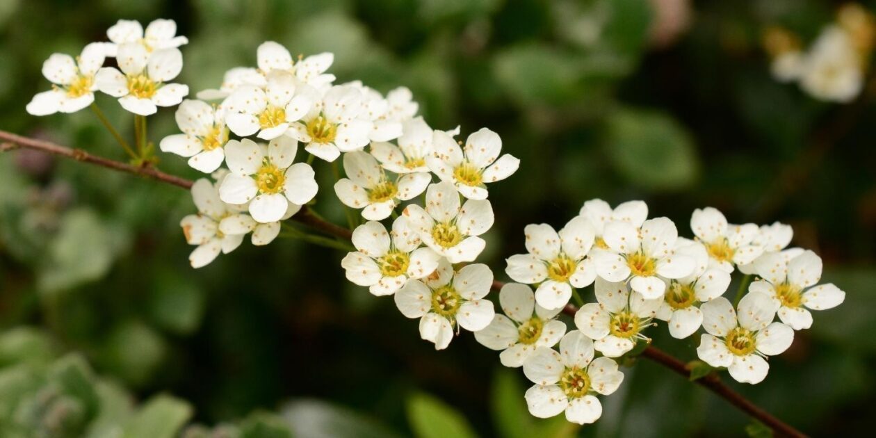 INTERESTING FACTS ABOUT YOUR KIDNEYS visual data 5