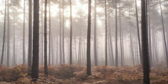 November 13: Facts & Historical Events On This Day