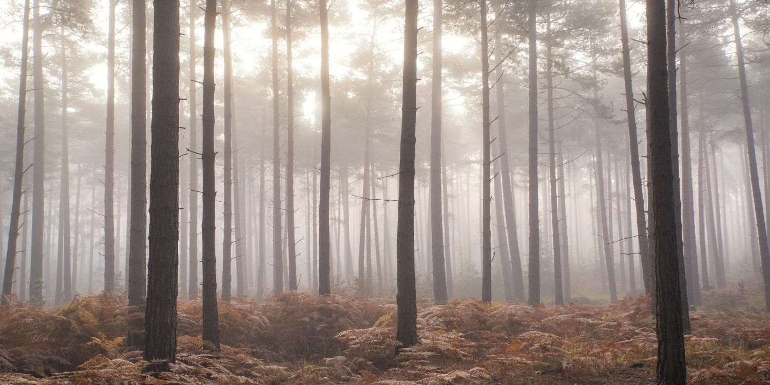 November 13 Facts & Historical Events On This Day The Fact Site