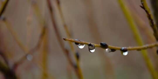 November 23: Facts & Historical Events On This Day