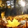 Facts & Historic Events That Happened on October 3