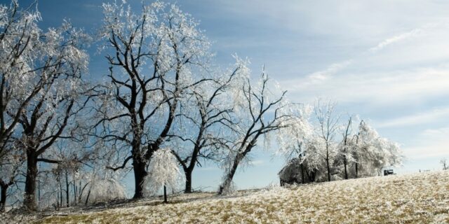 OTD in 1709: The Great Frost of Europe killed thousands of people.