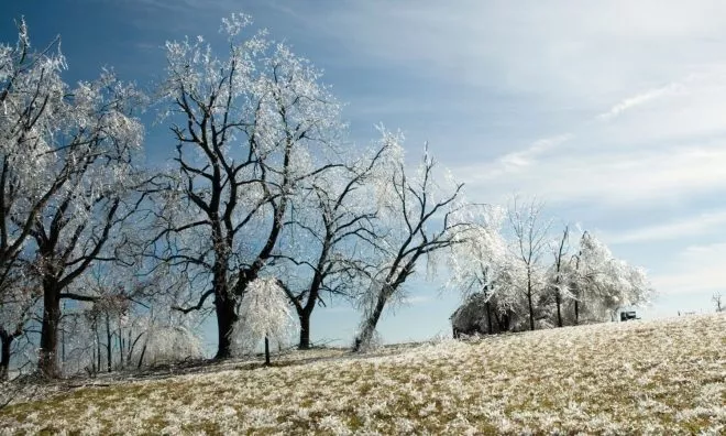 OTD in 1709: The Great Frost of Europe killed thousands of people.