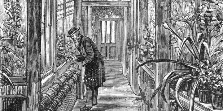 OTD in 1839: Charles Darwin was elected as a Fellow of the Royal Society for his revolutionary role in developing science.