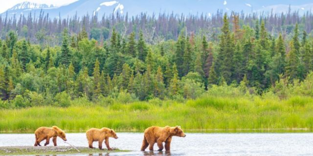 OTD in 1867: The United States bought Alaska from the Russian Empire.