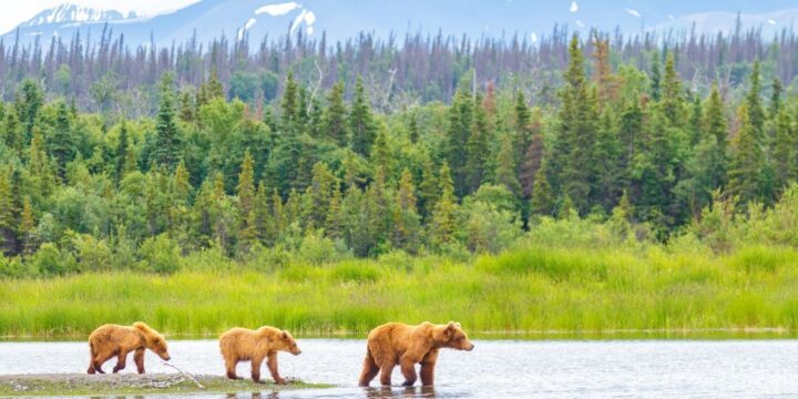 OTD in 1867: The United States bought Alaska from the Russian Empire.