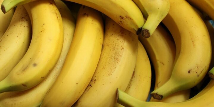 OTD in 1876: Americans were introduced to bananas.