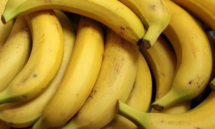 OTD in 1876: Americans were introduced to bananas.