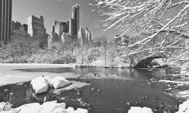 OTD in 1934: A record low temperature was recorded and reached a bone-chilling -15°F in Central Park