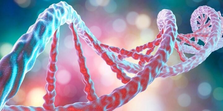 OTD in 1953: The twisted ladder structure of DNA was discovered.